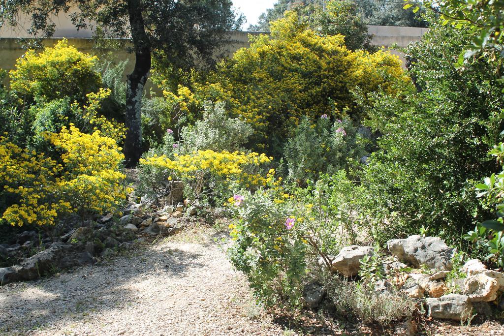 A L'Est D'Uzes Villa Saint-Siffret Екстериор снимка